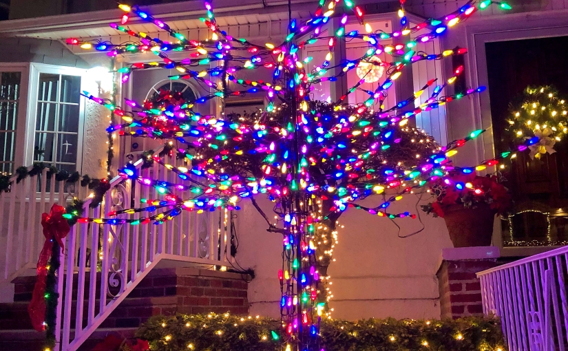 christmas tree with fairy lights